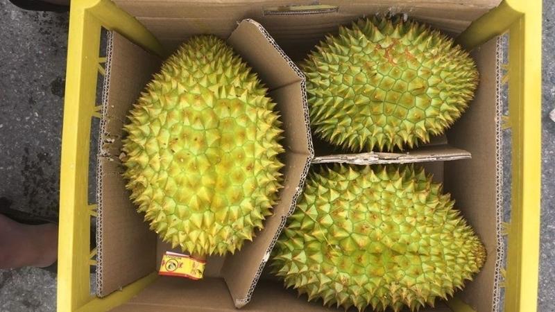 dong-goi-sau-rieng-di-may-bay