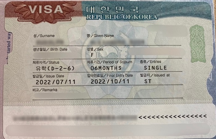 visa-D2-2